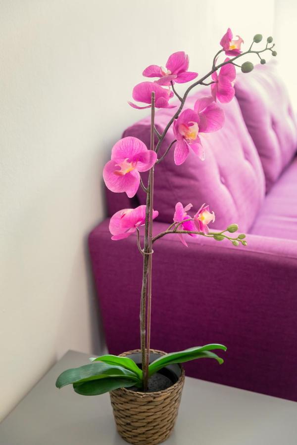 Andriana City Centre Flat Larnaca Esterno foto